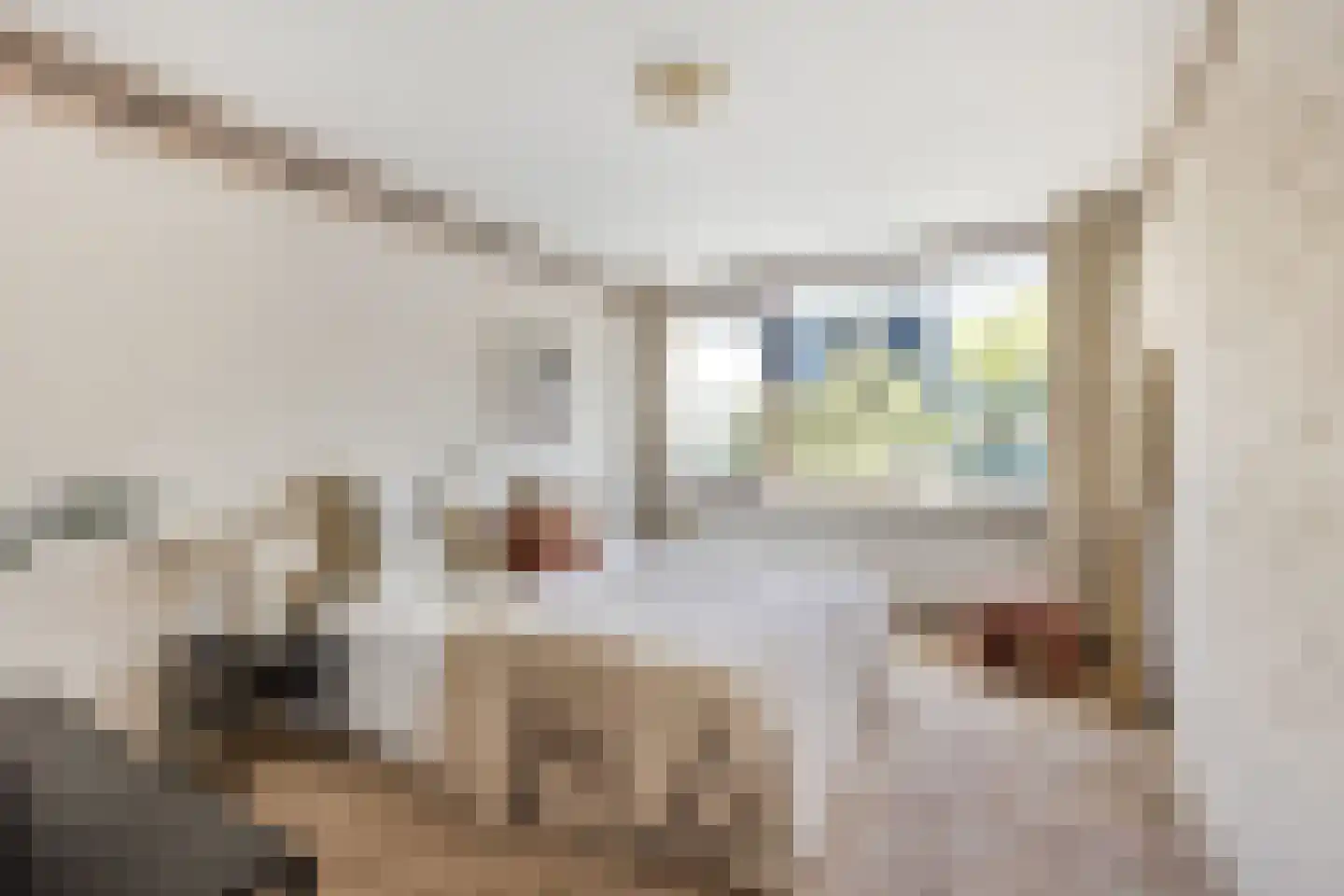 Scharreveld 44 Haarlem thumbnail 15