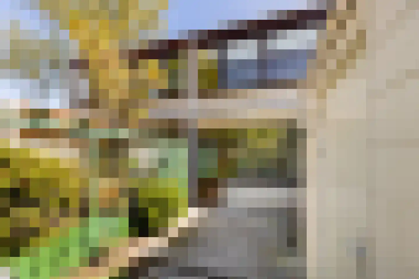 Scharreveld 44 Haarlem thumbnail 21