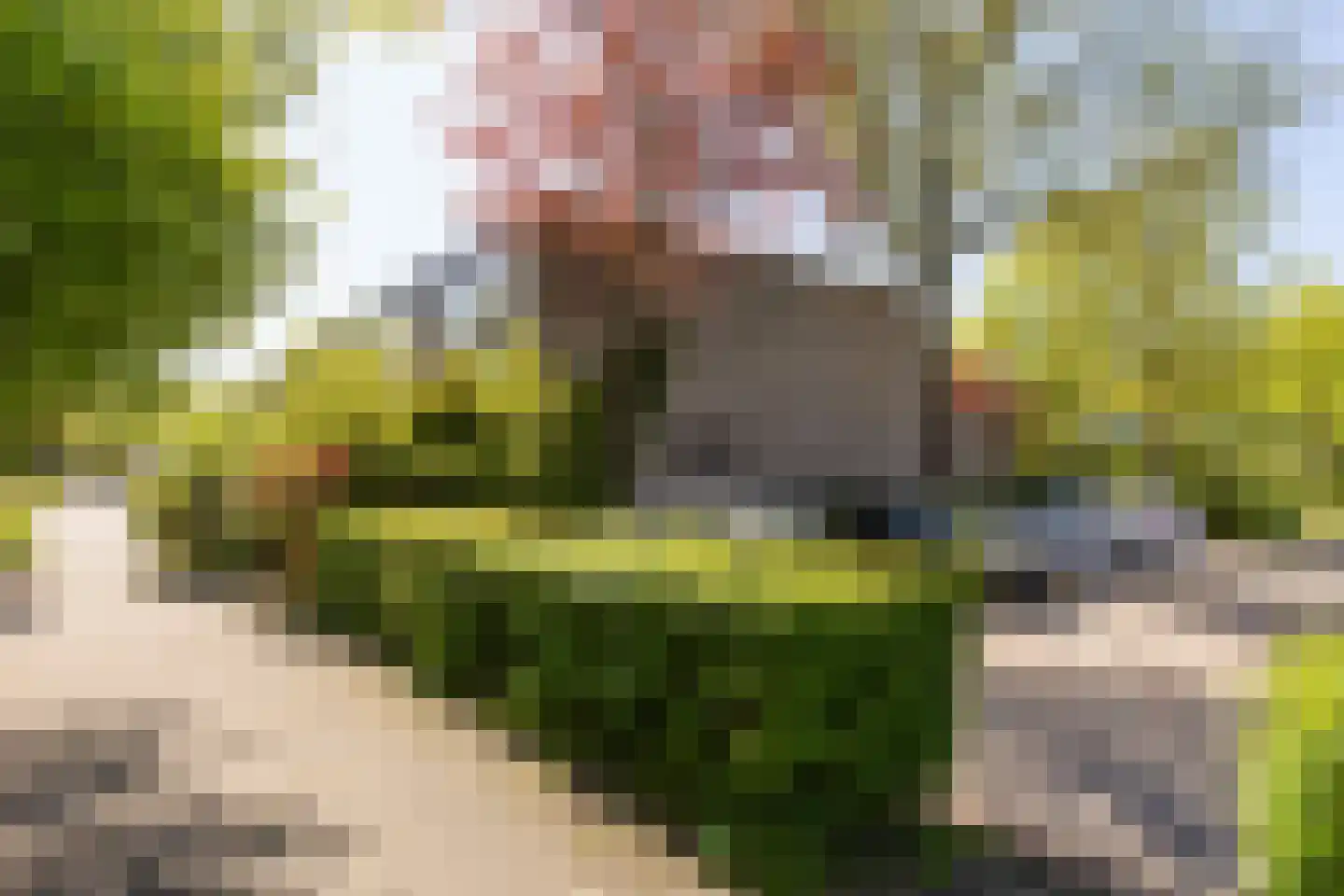 Scharreveld 44 Haarlem thumbnail 26