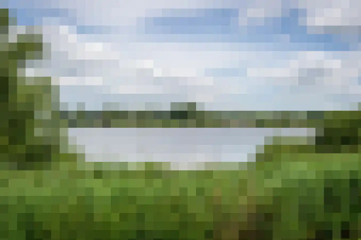 Scharreveld 44 Haarlem thumbnail 29