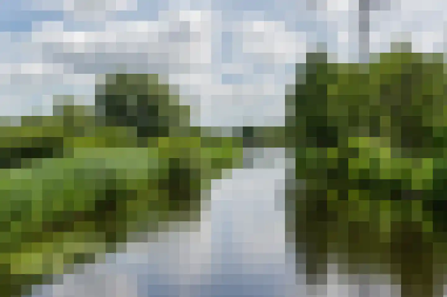 Scharreveld 44 Haarlem thumbnail 30