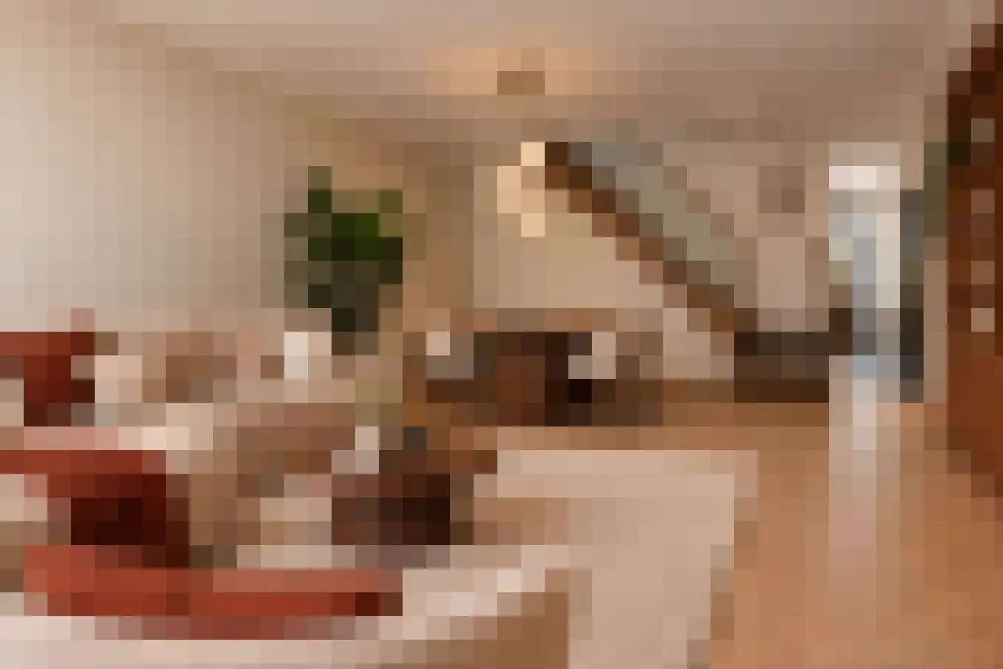 Scharreveld 44 Haarlem thumbnail 4