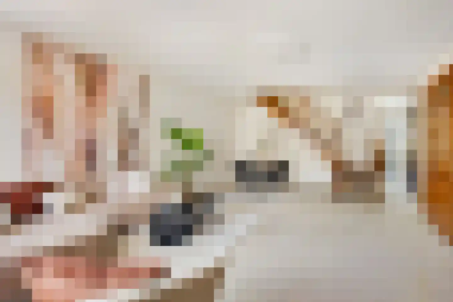 Scharreveld 44 Haarlem thumbnail 6