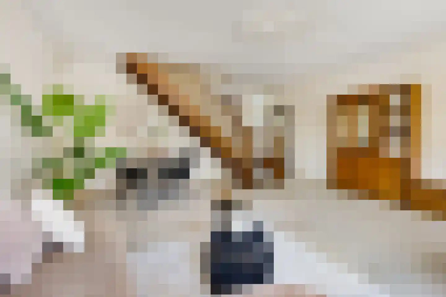 Scharreveld 44 Haarlem thumbnail 7