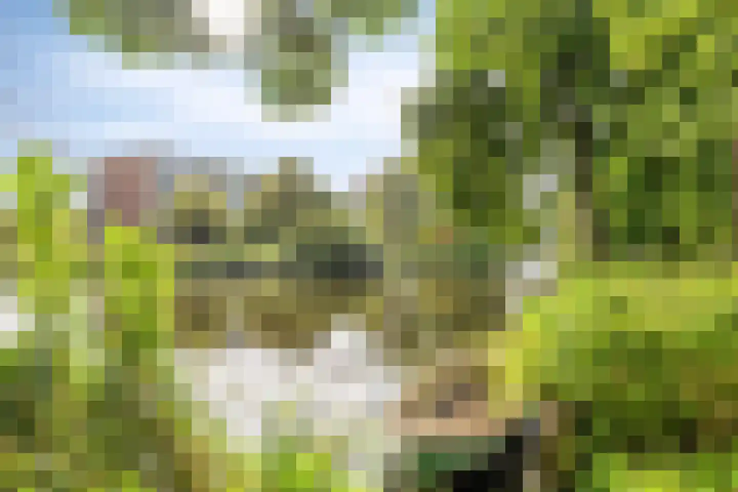 Scharreveld 71 Haarlem thumbnail 24