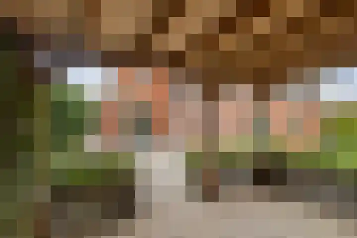 Scharreweersterweg 37 Appingedam thumbnail 40