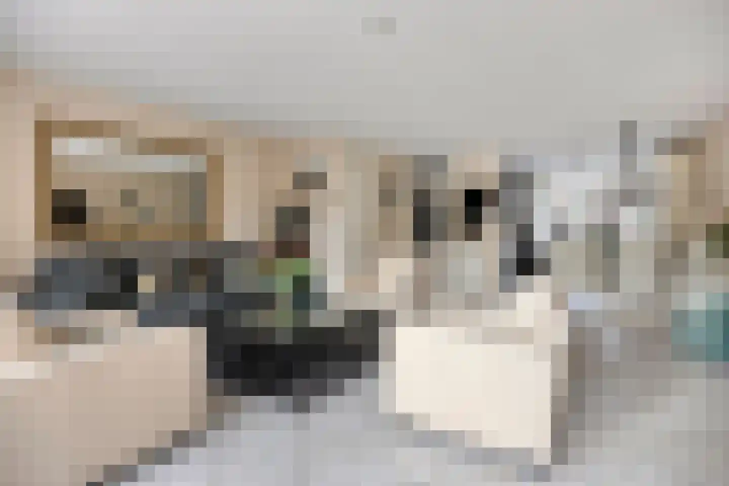 Scharster 5 Rotterdam thumbnail 11