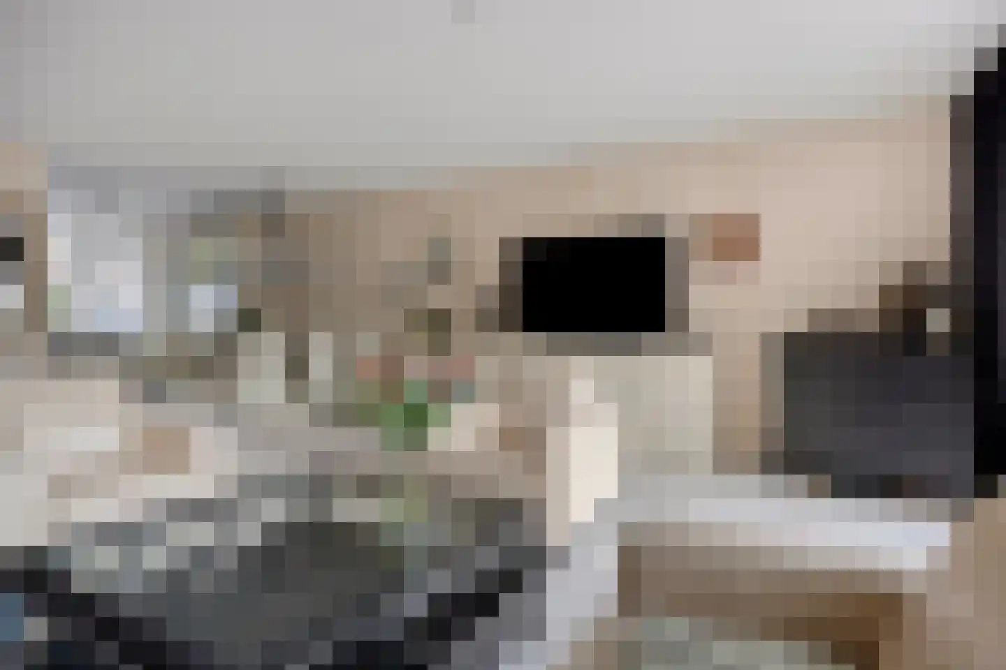 Scharster 5 Rotterdam thumbnail 13
