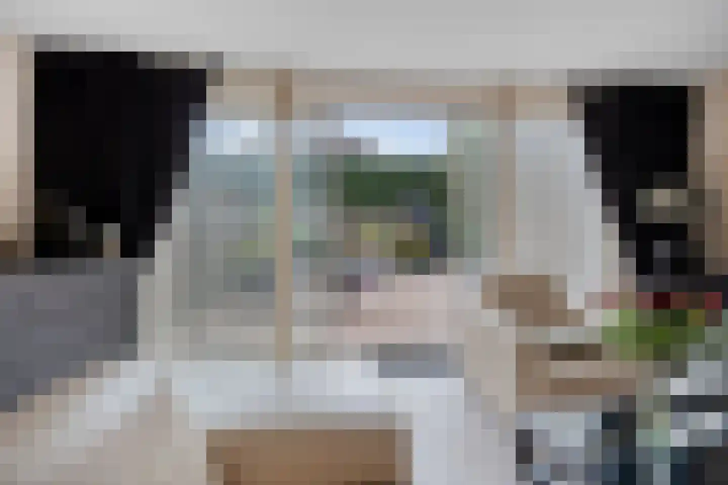Scharster 5 Rotterdam thumbnail 19