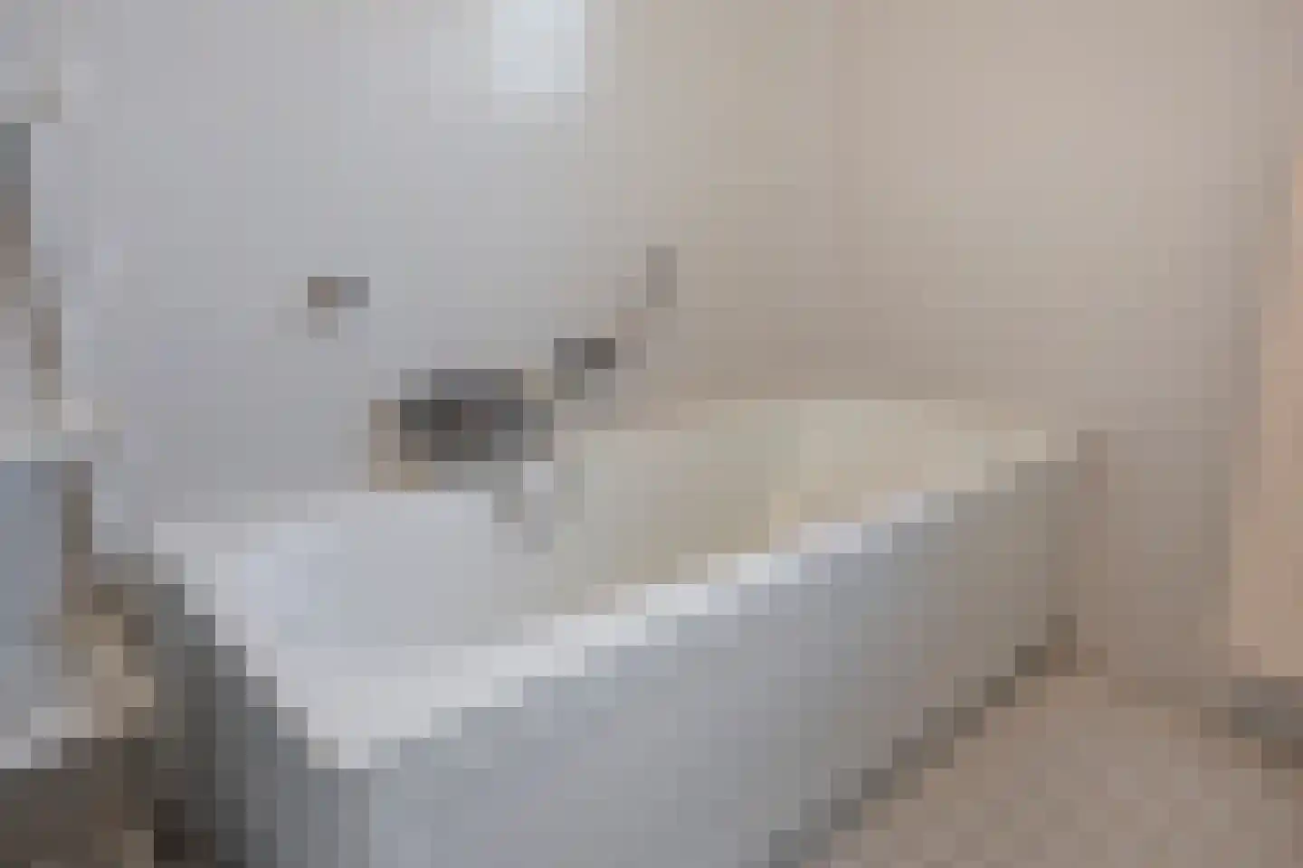 Scharster 5 Rotterdam thumbnail 28