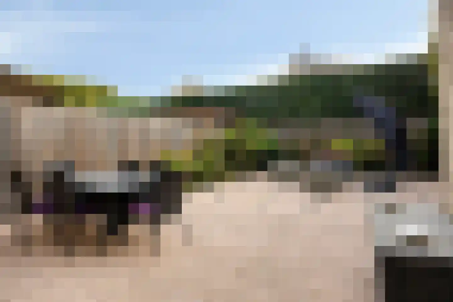 Scharster 5 Rotterdam thumbnail 40