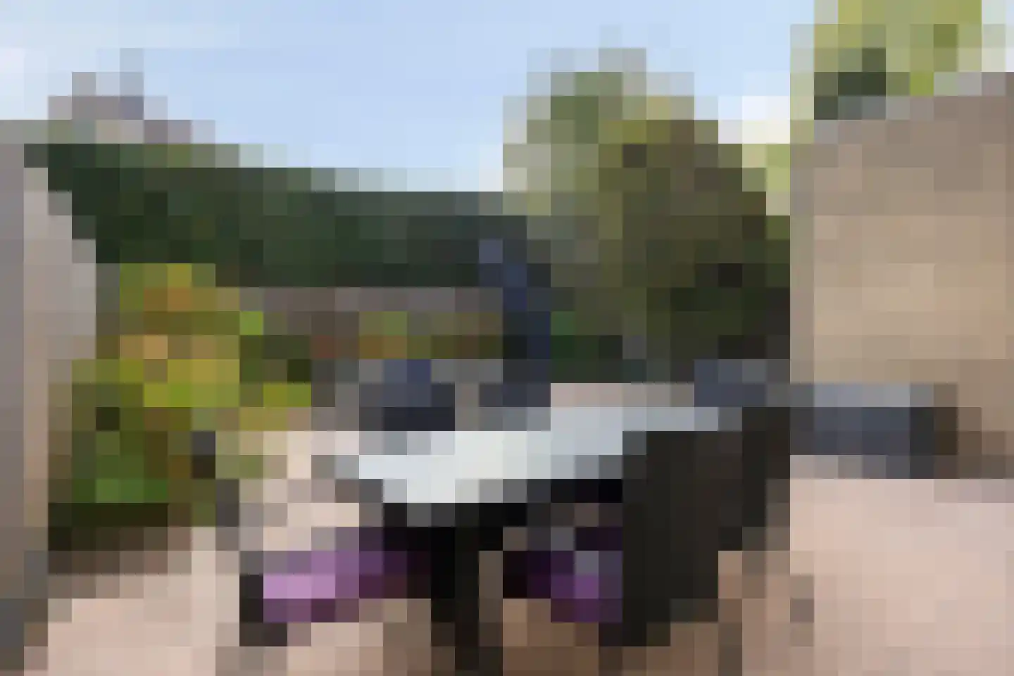 Scharster 5 Rotterdam thumbnail 41