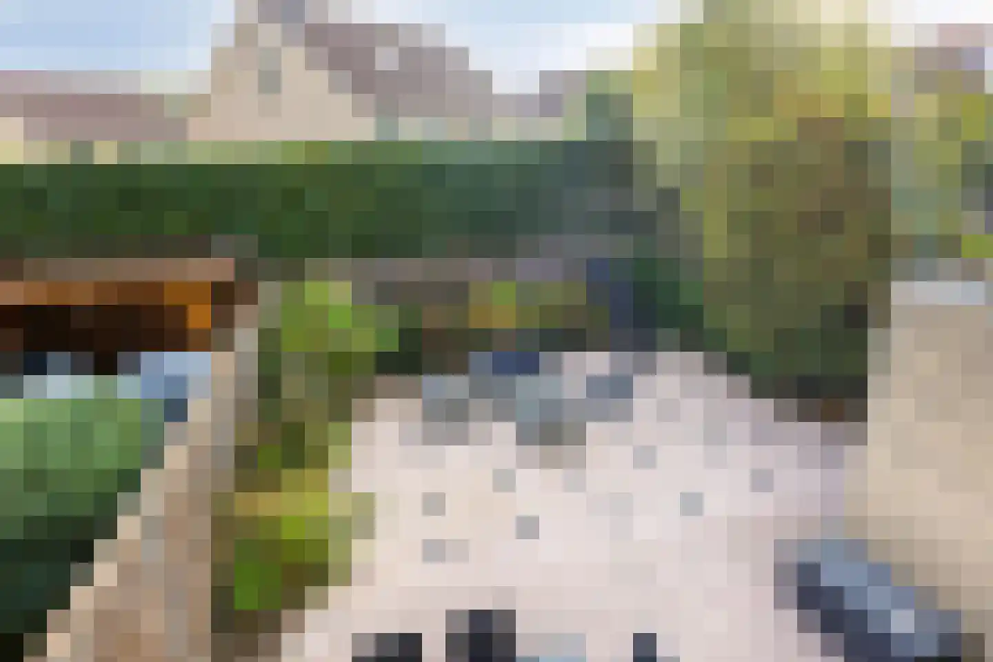 Scharster 5 Rotterdam thumbnail 45