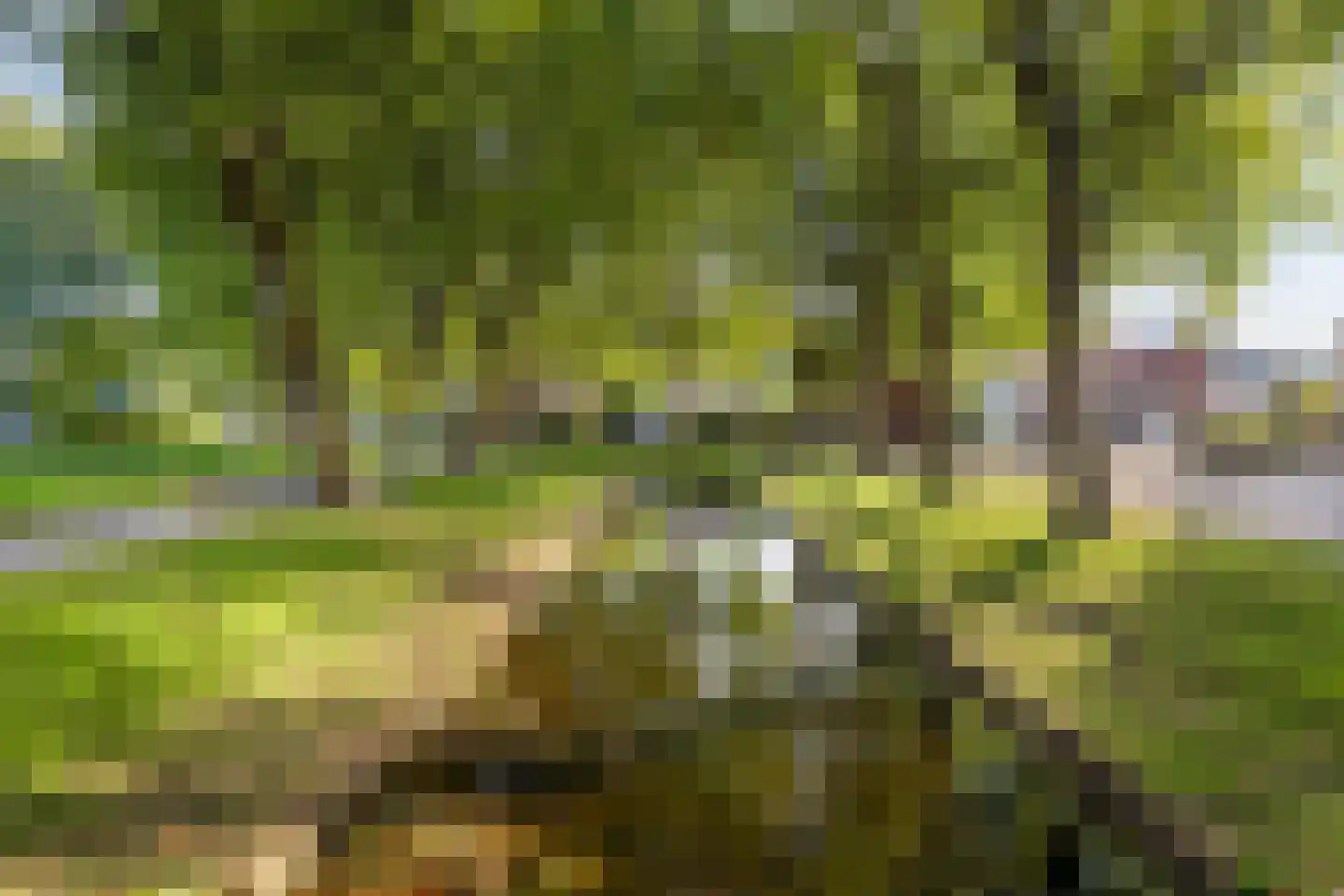 Scharster 5 Rotterdam thumbnail 46