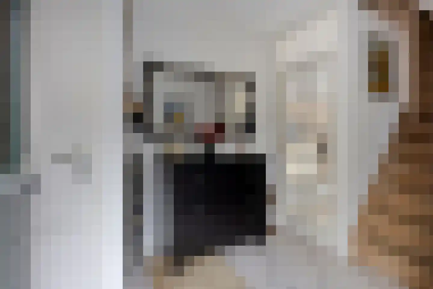 Scharster 5 Rotterdam thumbnail 7