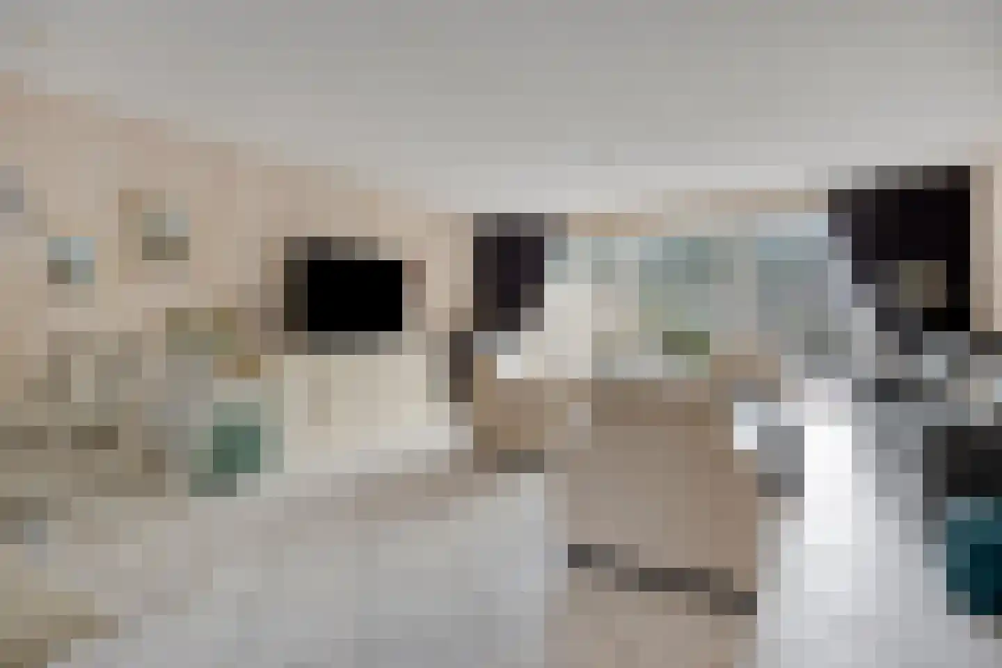 Scharster 5 Rotterdam thumbnail 9