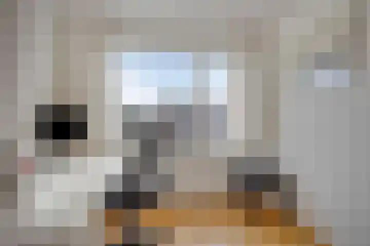Scharten-Antinkstraat 5 Zwolle thumbnail 19