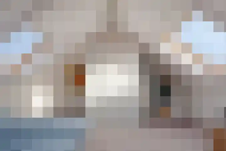 Scharten-Antinkstraat 5 Zwolle thumbnail 26