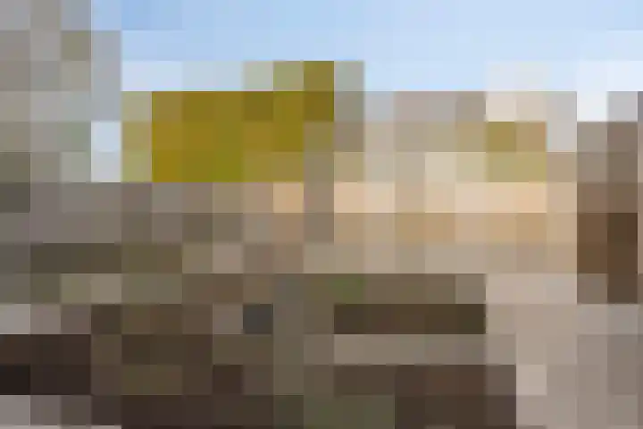 Scharten-Antinkstraat 5 Zwolle thumbnail 31