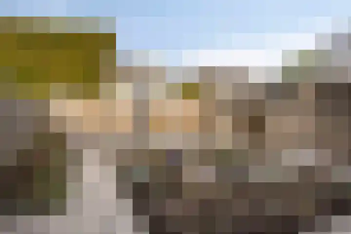 Scharten-Antinkstraat 5 Zwolle thumbnail 32