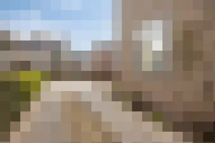 Scharten-Antinkstraat 5 Zwolle thumbnail 37