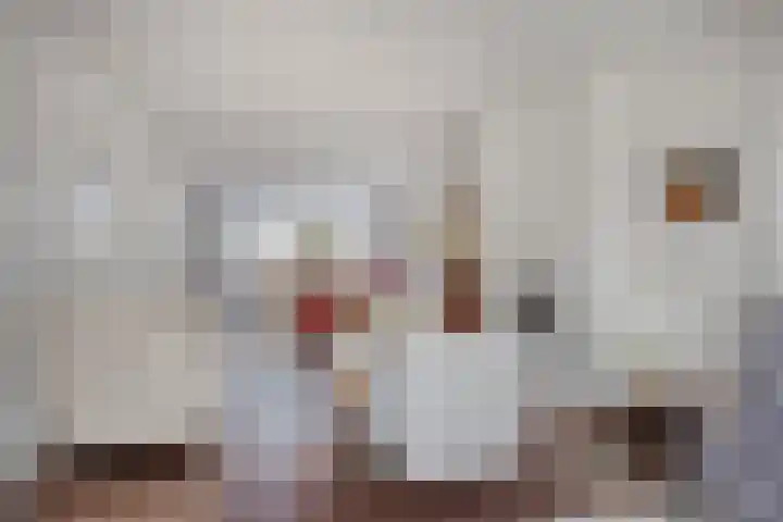 Scharten-Antinkstraat 5 Zwolle thumbnail 8