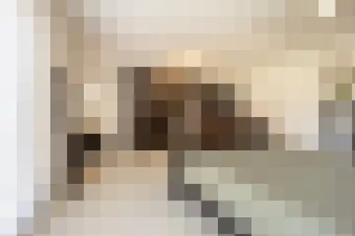 Scharwater 2 Barendrecht thumbnail 24