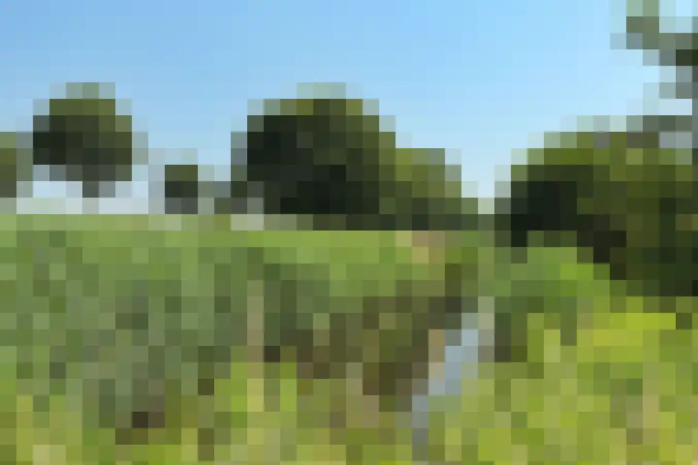 Scharwater 3 Barendrecht thumbnail 32