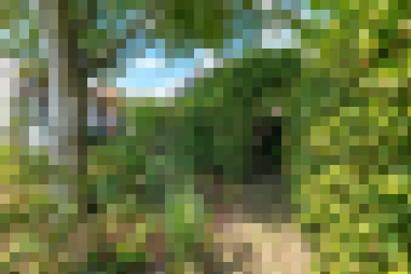 Scharwoude 34 A Scharwoude thumbnail 69