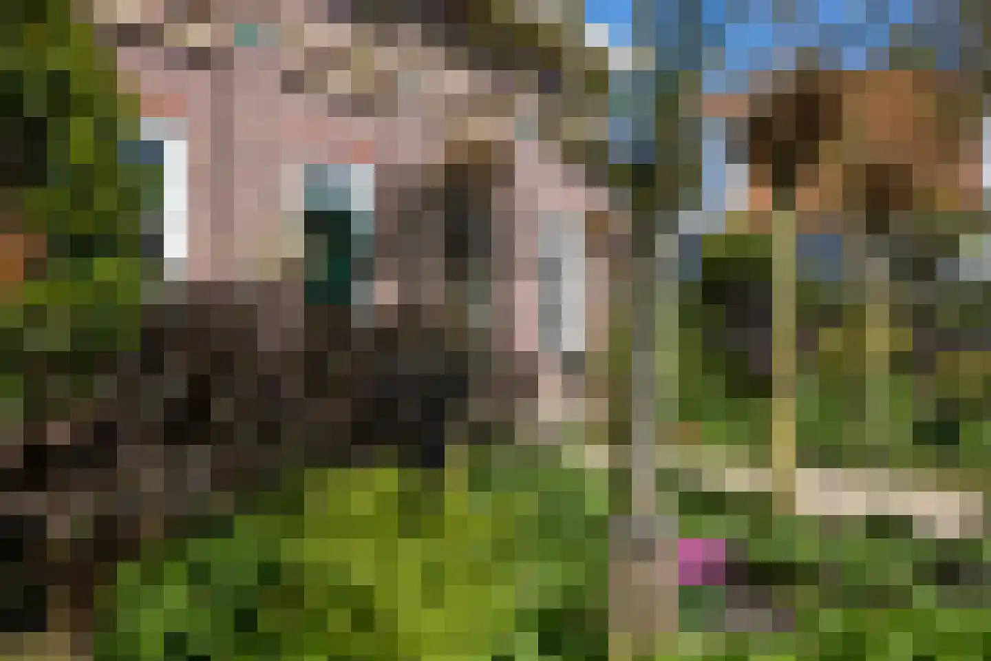 Scharwoude 7 Scharwoude thumbnail 43