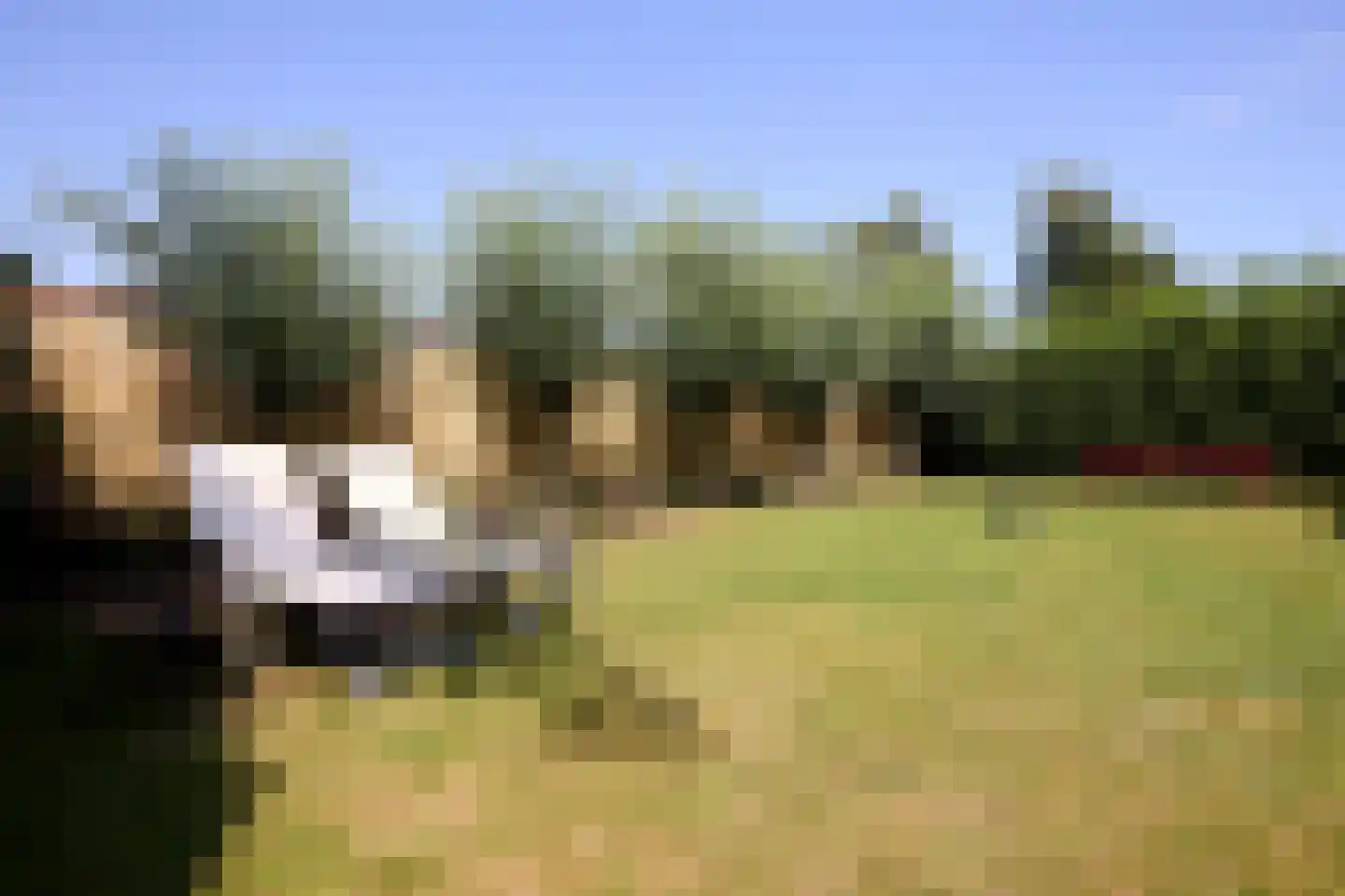 Scharwoude 7 Scharwoude thumbnail 49