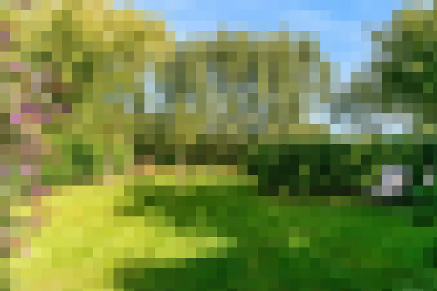 Scharwoude 7 Scharwoude thumbnail 54