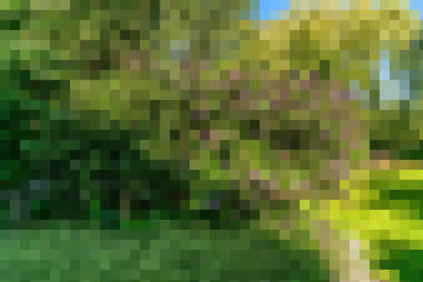 Scharwoude 7 Scharwoude thumbnail 55