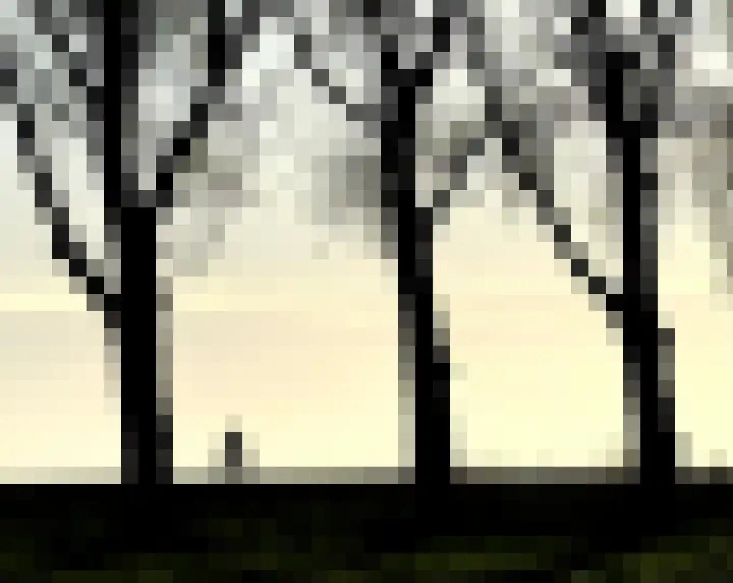 Scharwoude 7 Scharwoude thumbnail 64