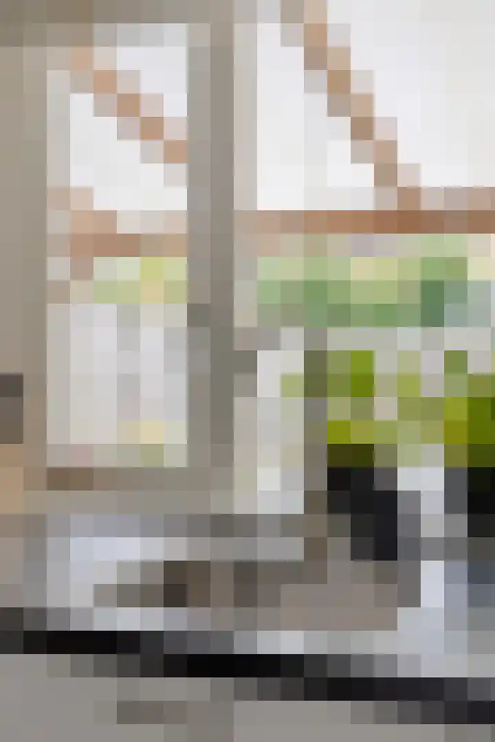 Scharwoudestraat 10 Emmeloord thumbnail 13