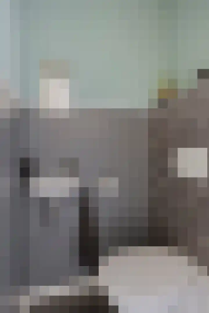 Scharwoudestraat 10 Emmeloord thumbnail 16