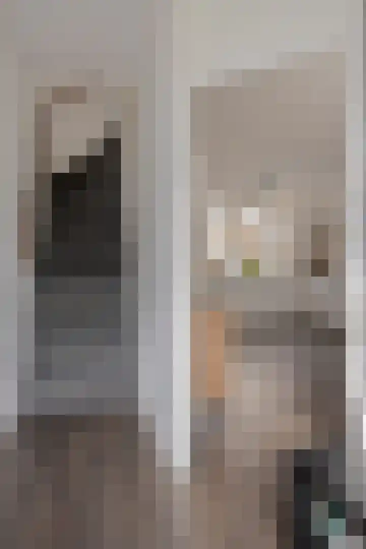 Scharwoudestraat 10 Emmeloord thumbnail 6