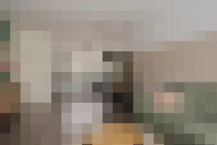Scharwoudestraat 10 Emmeloord thumbnail 9