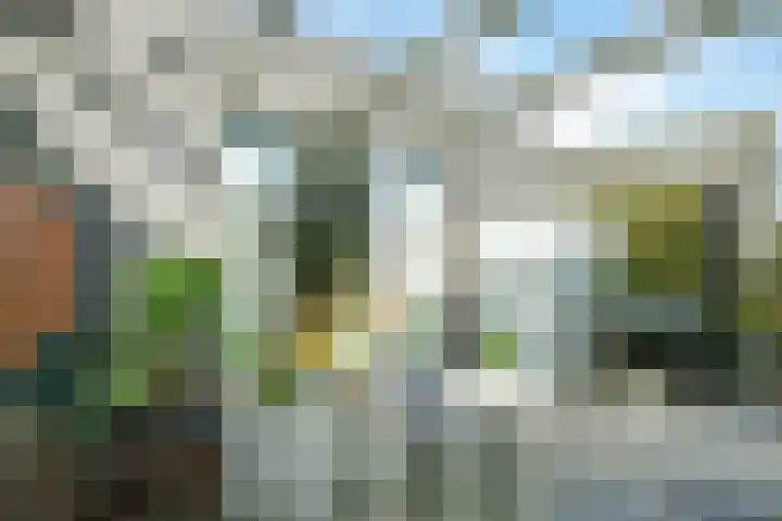 Scharwoudestraat 114 Tilburg thumbnail 23