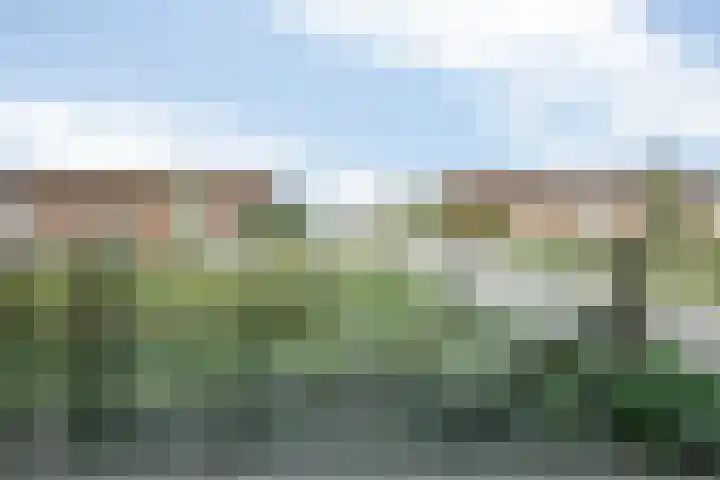 Scharwoudestraat 114 Tilburg thumbnail 31