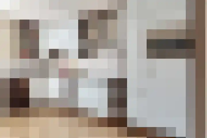 Scharwoudestraat 15 Tilburg thumbnail 14