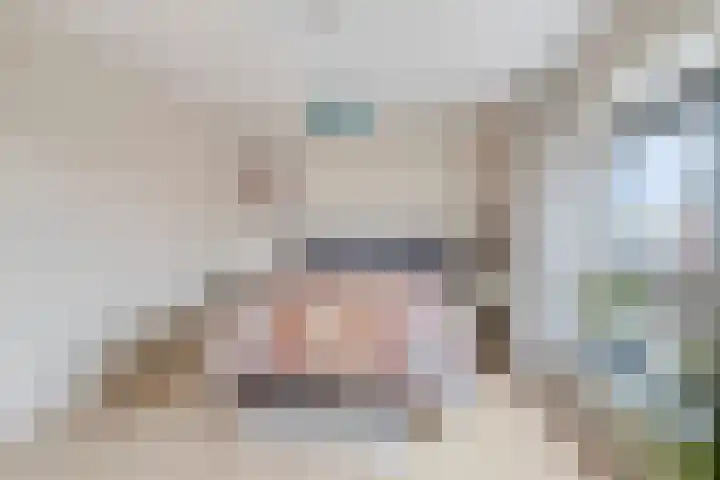 Scharwoudestraat 15 Tilburg thumbnail 20