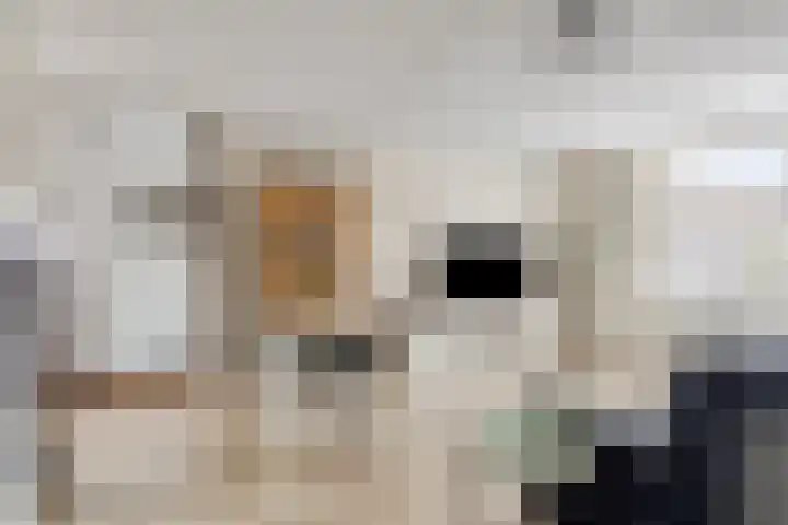 Scharwoudestraat 15 Tilburg thumbnail 8