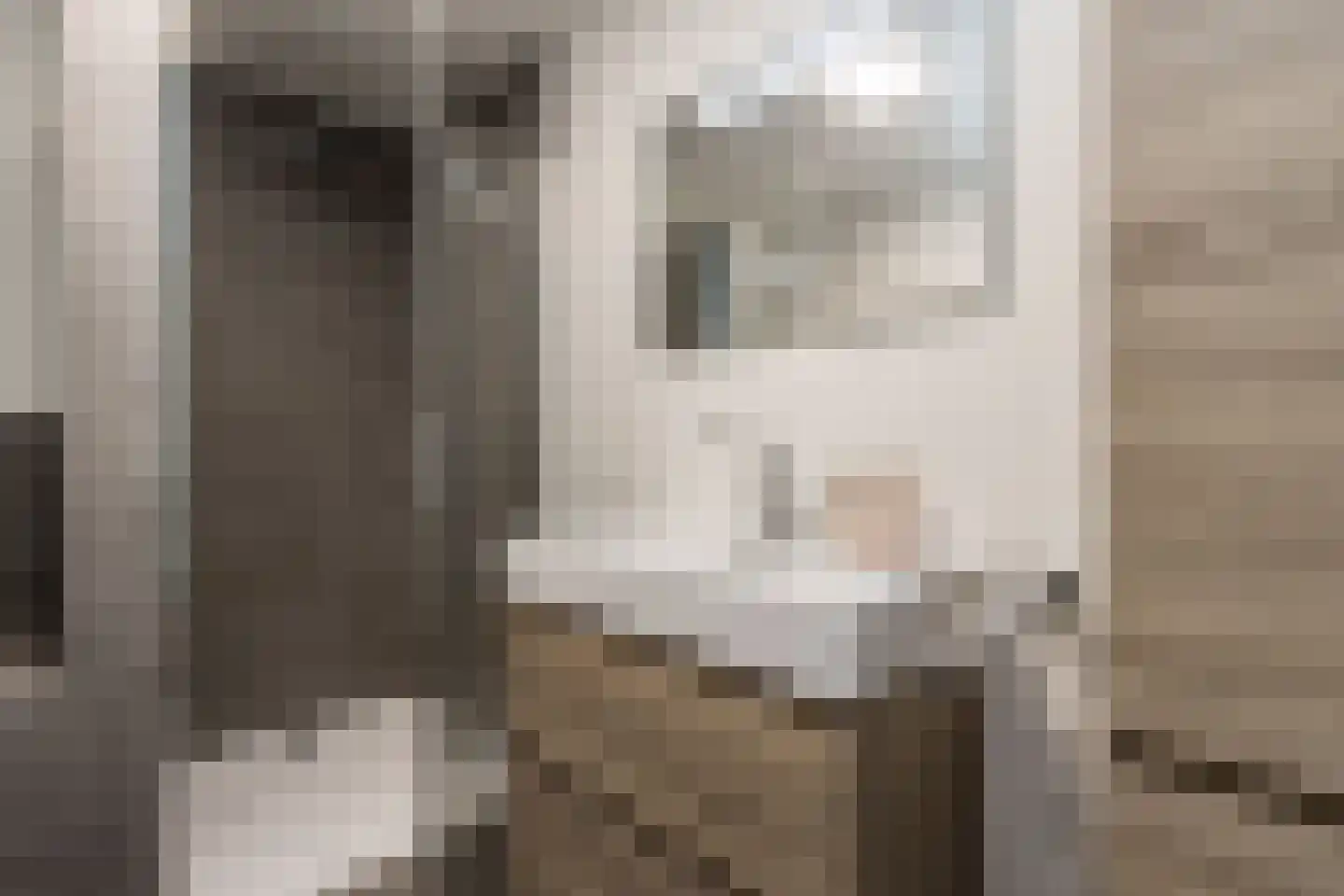 Scharwoudestraat 23 Tilburg thumbnail 20