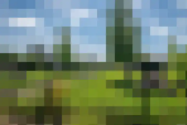 Scharwoudestraat 57 Tilburg thumbnail 34