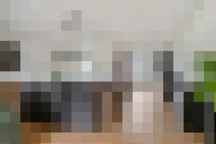 Scharwoudestraat 69 Tilburg thumbnail 16