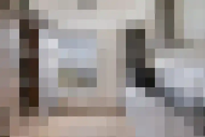 Scharwoudestraat 69 Tilburg thumbnail 18