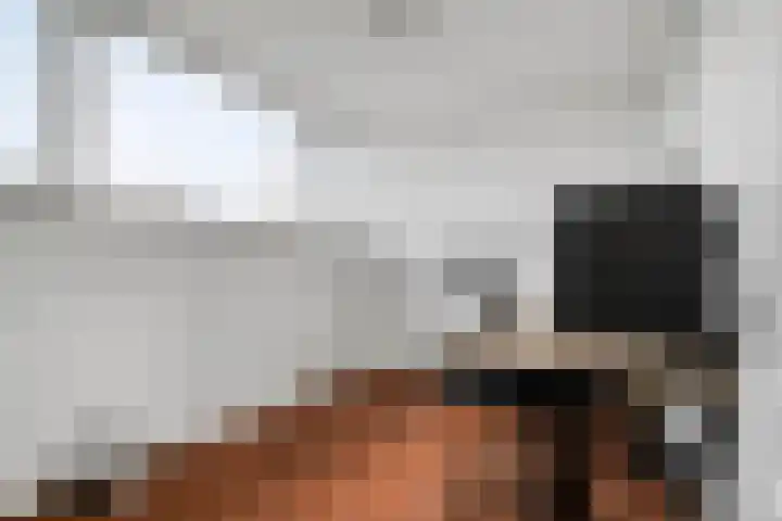 Scharwoudestraat 69 Tilburg thumbnail 34