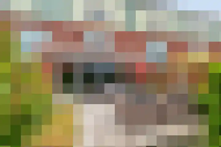 Scharwoudestraat 69 Tilburg thumbnail 37
