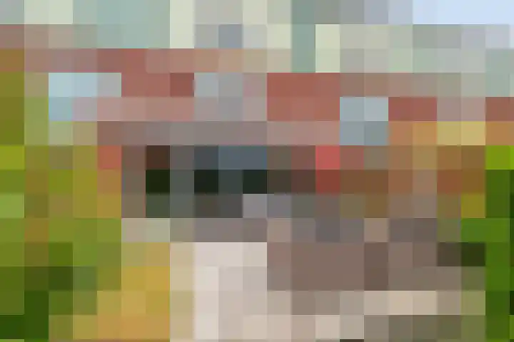 Scharwoudestraat 69 Tilburg thumbnail 6